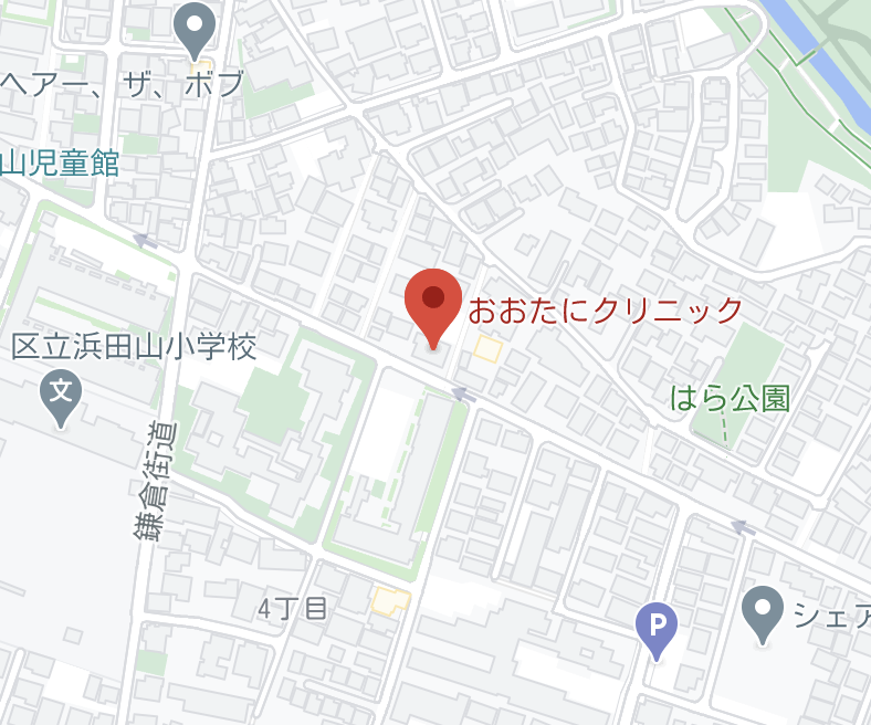 Googleマップ